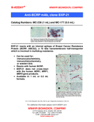 BCRP (clon BXP-21) folleto